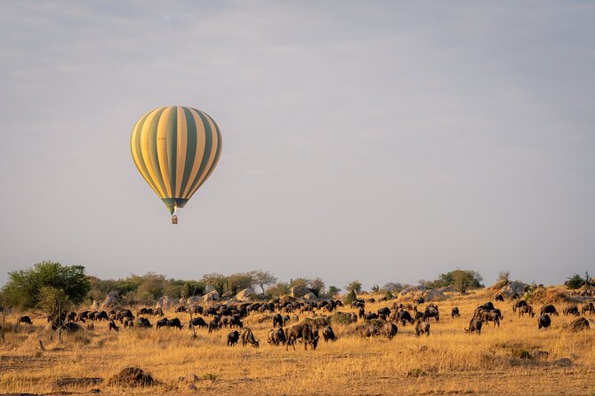 4 Days Tarangire, Serengeti and Ngorongoro Mid-Range Group Safari - Day 4: Ngorongoro Crater as the grand finale
