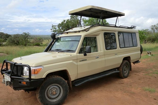 4 days Tarangire, Serengeti & Ngorongoro - Day one: Tarangire’s elephants and dry-country scenery