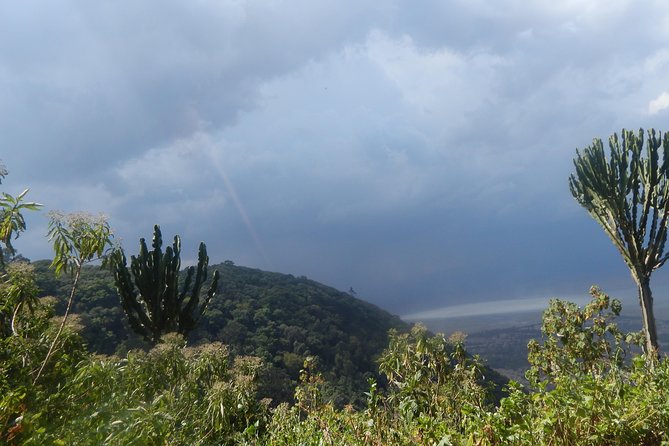 4 days Tarangire, Serengeti & Ngorongoro - Guides can make or break the safari