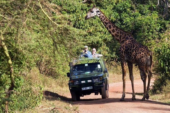4 Days Tarangire Serengeti Ngorongoro Crater - The people behind the vehicle
