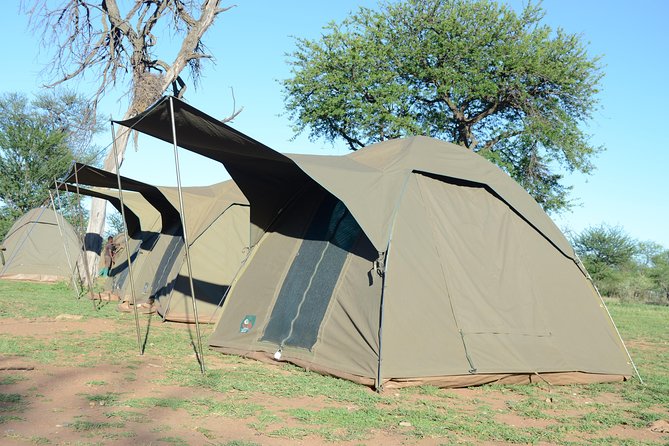 4 Days Tarangire ,Serengeti &Ngorongoro crater group Tour - What the strongest feedback tells you