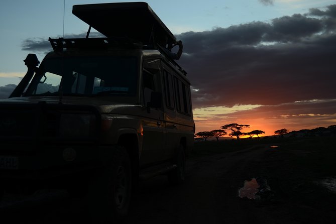 4 Days Tarangire ,Serengeti &Ngorongoro crater group Tour - Who will get the most from this safari?