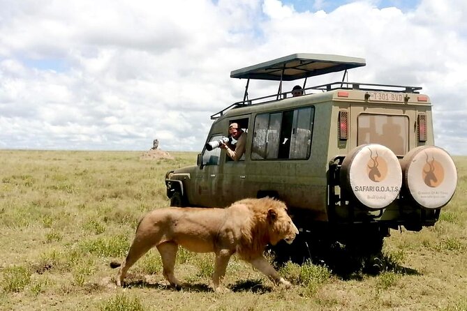 4 Days Tarangire, Serengeti & Ngorongoro Crater Joining Group - Day 3: Sunrise in the Serengeti, then Ngorongoro
