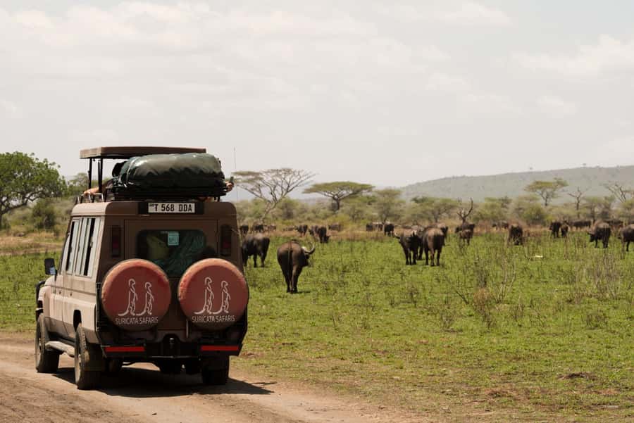 4 Days Tarangire, Serengeti, Ngorongoro Group Camping Safari - Key things to know before you book