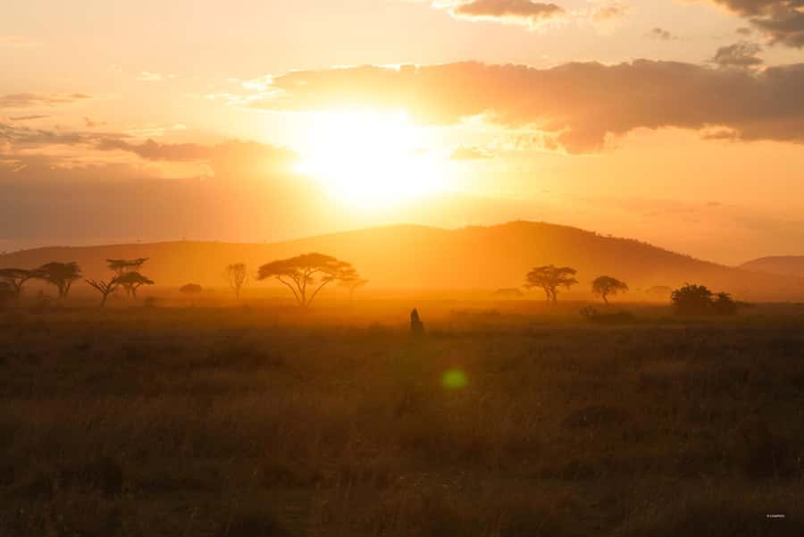 4 Days Tarangire, Serengeti, Ngorongoro Mid-range Safari - What $1,800 per person covers