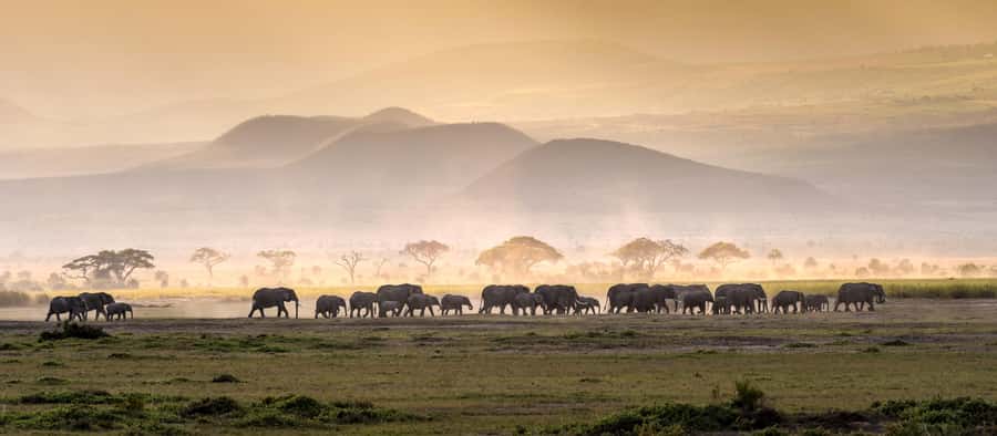 4 Days Tarangire, Serengeti, Ngorongoro Mid-range Safari - Day 2: The long road to the Serengeti