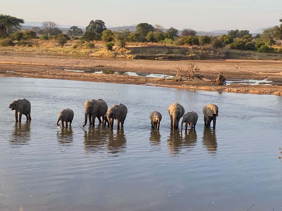 4 Days Tarangire, Serengeti, Ngorongoro Mid-range Safari - Day 3: A Serengeti sunrise, then the Ngorongoro Highlands