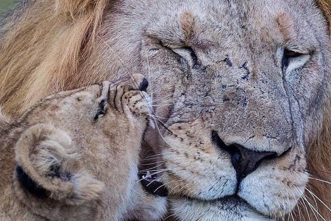 4 days Tarangire, Serengeti & Ngorongoro - Day two: the long road to the Serengeti