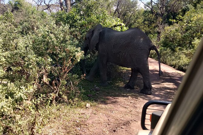 4-Days Tour to Tanzania National parks - Guides, food, and camp arrangements