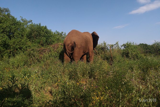 4day's Safari - Starting in Moshi or Arusha at 8:00 am