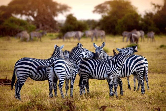 5 day 4 Nights Private Adventure Camping Norther Tanzania Safari - Day 4: Lake Manyara in the Great Rift Valley