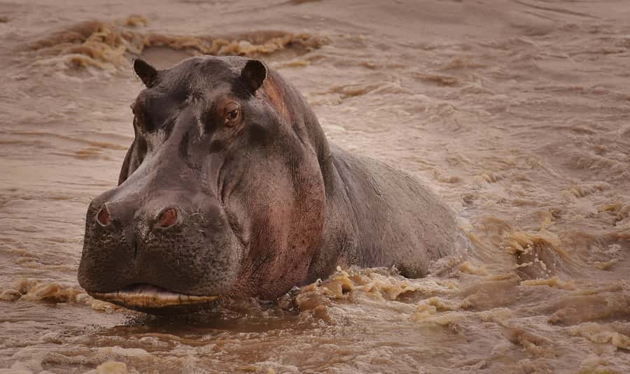 5-day Affordable Joint Group Safari (with Extra Activities) - Key points to know before booking