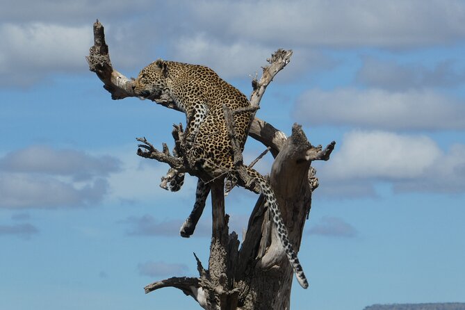5-Day Group Tour Mid Range - Day 2: The long road to Serengeti National Park