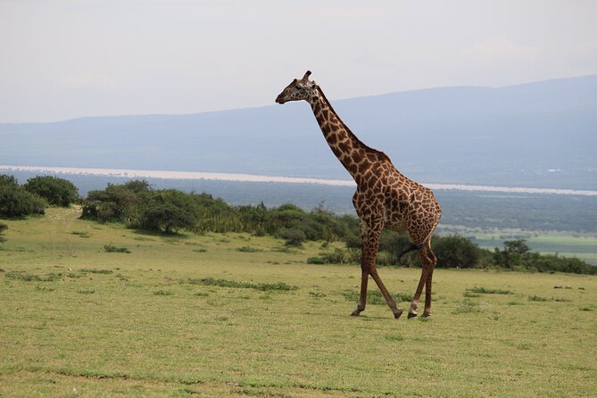 5-Day Highlights mid-Range Crater, Serengeti, Tarangire - Who should book this five-day route?