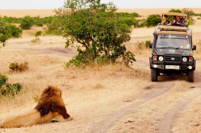 5-Day Mid-Range Safari in Tanzania - Starting in Arusha with a gentle first day