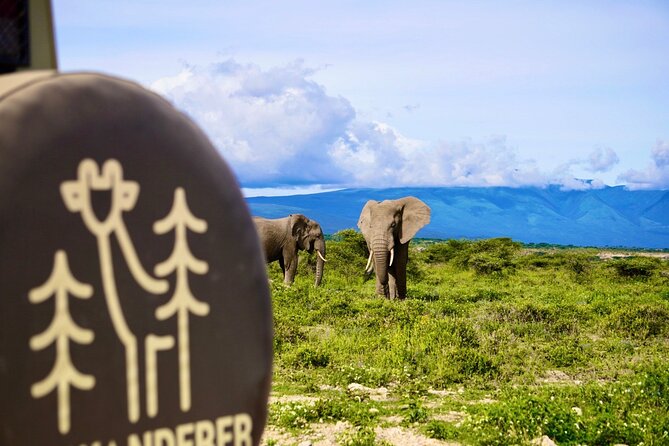 5-Day Mid-Range Safari in Tanzania - Lake Manyara’s forest, lake, and flamingos