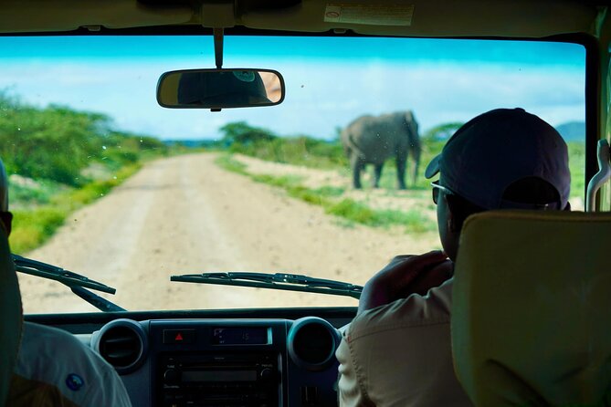 5-Day Mid-Range Safari in Tanzania - Guide quality and the human side of the safari