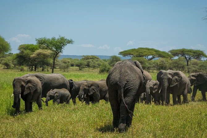 5-Day Mid-Range Safari in Tanzania - The main limits of a five-day route