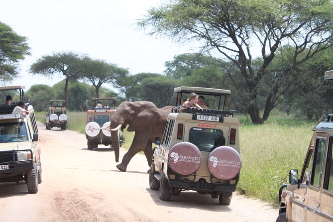 5 Day Mid range Tanzania Safari - Day 2: From the Karatu highlands into the Serengeti