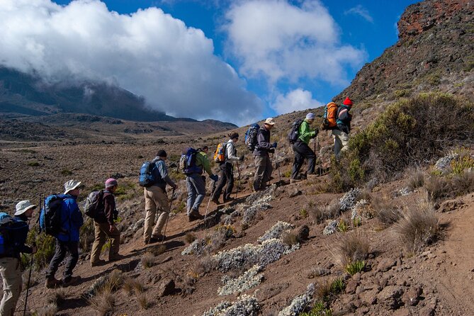 5 Day Mount Kilimanjaro Climbing via Marangu Route - Day 1: Marangu Gate to Mandara Hut