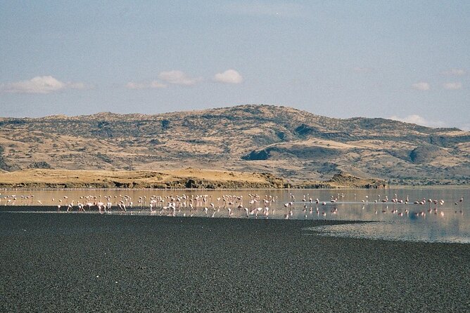 5-Day Private Adventure Tour to Ngorongoro Conservation Area - Day 4: Lake Natron, local choices, and the volcano