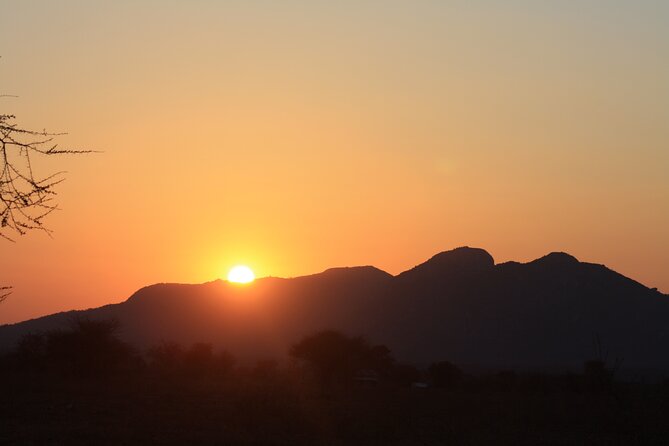 5-Day private Camping Safari Tour in Tanzania - What this five-day safari actually covers