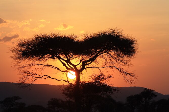 5-Day private Camping Safari Tour in Tanzania - Camping, food, and the people who make the difference