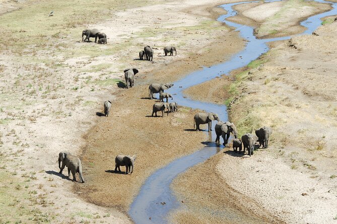 5-Day Private Camping Tour to Serengeti, Ngorongoro & Tarangire - Day five: 600 meters down into Ngorongoro Crater