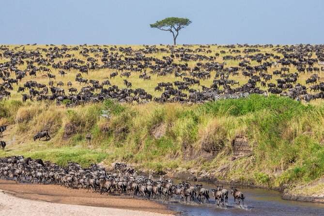 5-Day Private Camping Tour to Serengeti, Ngorongoro & Tarangire - Camping, meals, and what the price covers