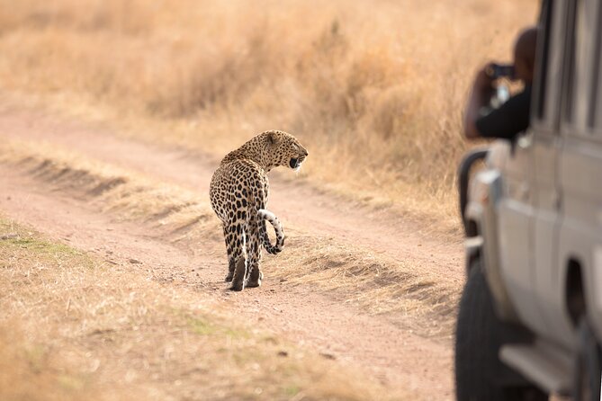 5-Day Private Camping Tour to Serengeti, Ngorongoro & Tarangire - Day one: elephants and baobabs in Tarangire