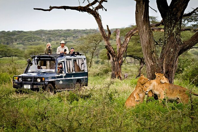 5 Day Private Guided Wildebeest Migration Tour - Four parks, one fast-moving safari