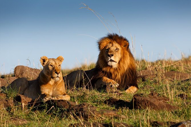 5 Day Private Guided Wildebeest Migration Tour - Day 3: Crossing into the Serengeti