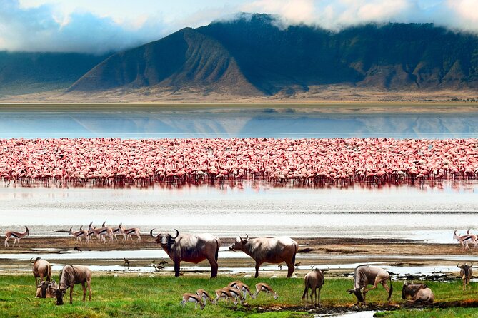 5 Day Private Guided Wildebeest Migration Tour - What the $3,850 price really covers