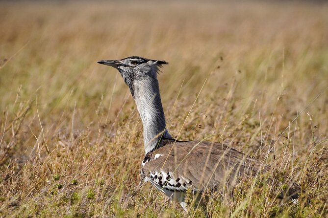 5-Day Private midrange Tour in Arusha with Airport Pickup - Key points at a glance