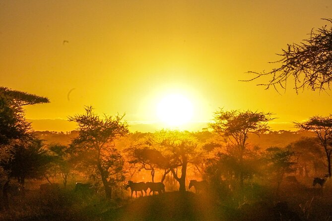 5-Day Private midrange Tour in Arusha with Airport Pickup - How the five-day route works