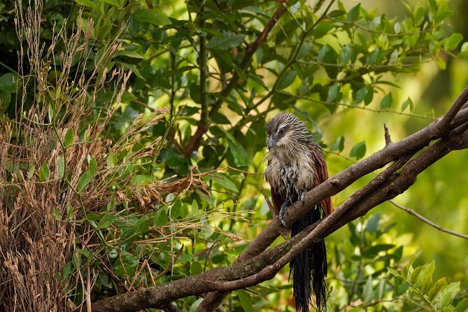 5-Day Private midrange Tour in Arusha with Airport Pickup - Lodging, meals, and the meaning of midrange