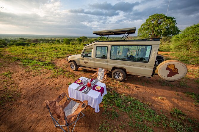 5-Day Private Northern Tanzania Safari from Arusha - Day 3: A full Serengeti game drive