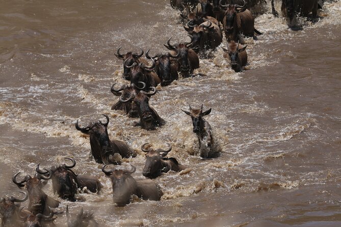 5-Day Private Northern Tanzania Safari from Arusha - The private guide is the real deciding factor