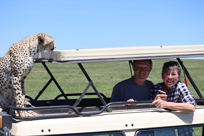 5-Day Private Safari in The Serengeti with Accommodation - Day 3: The Serengeti’s big open wildlife day