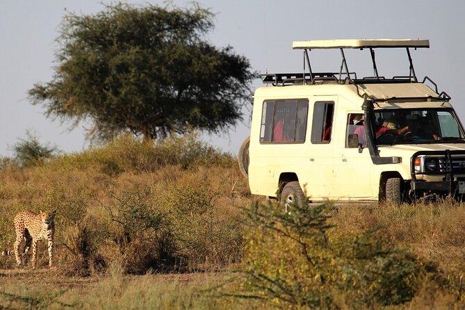 5-Day Private Safari Tour in Tanzania's Wildlife - Day 5: Lake Manyara and a Maasai Boma Visit