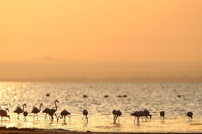 5 Day: Scenic Northern Circuit Safari - Day 1: Forest, monkeys, and Rift Valley views at Lake Manyara