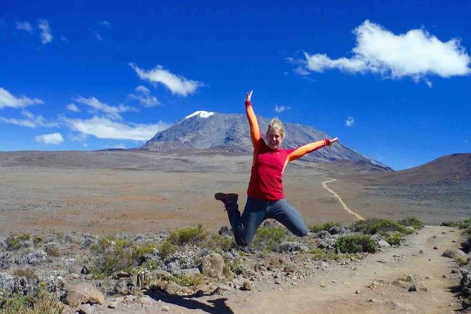 5 Days (4 Night) Marangu Route - Leaving Moshi for Londorossi Gate