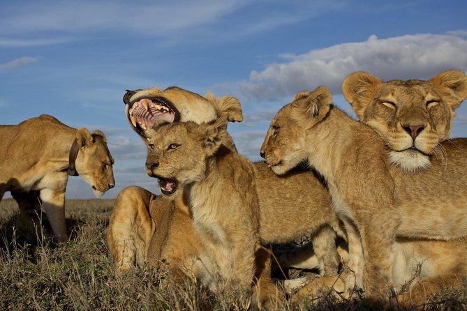 5 Days / 4 Nights Join group safari - Ngorongoro Crater adds a different setting