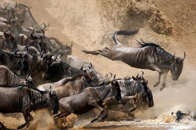 5 Days / 4 Nights Join group safari - Lake Manyara completes the park variety