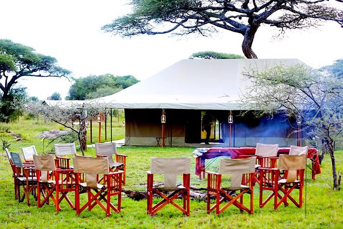 5 Days 4 Nights Tarangire, Serengeti , Ngorongoro & Manyara Wildlife Safari - Day 5: Lake Manyara finishes with birds and forest