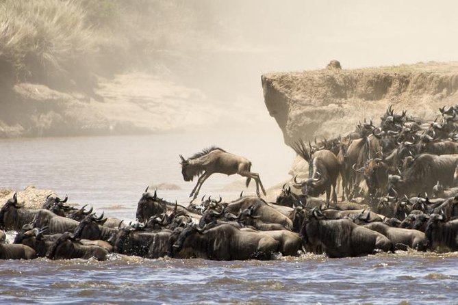 5 Days 4 Nights Tarangire, Serengeti , Ngorongoro & Manyara Wildlife Safari - Day 2: The road to the Serengeti is part of the show
