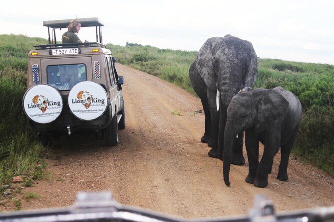5 Days Best of Tanzania Luxury Safari Northern Circuit - Day 4: an early Serengeti game drive