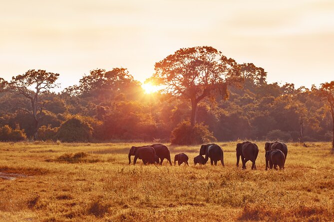 5 Days Budget Safari in Tanzania - The small-group setup and daily comfort