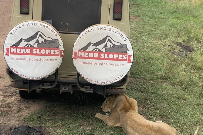5 Days Camping Tarangire, Serengeti & Ngorongoro crater & Visiting Maasai - What $1,254 buys you in northern Tanzania