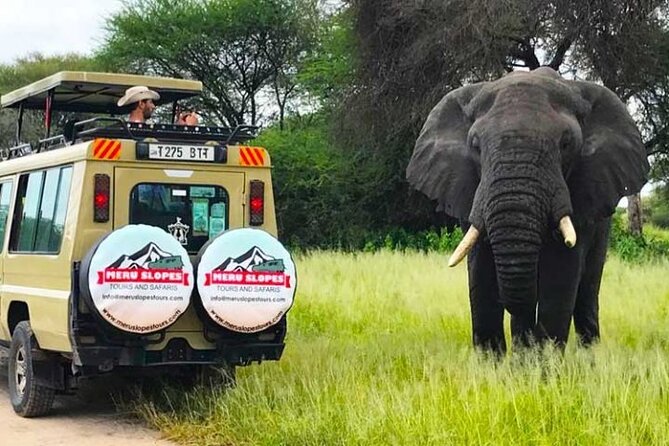 5 Days Camping Tarangire, Serengeti & Ngorongoro crater & Visiting Maasai - Day 2: crossing the highlands into the Serengeti